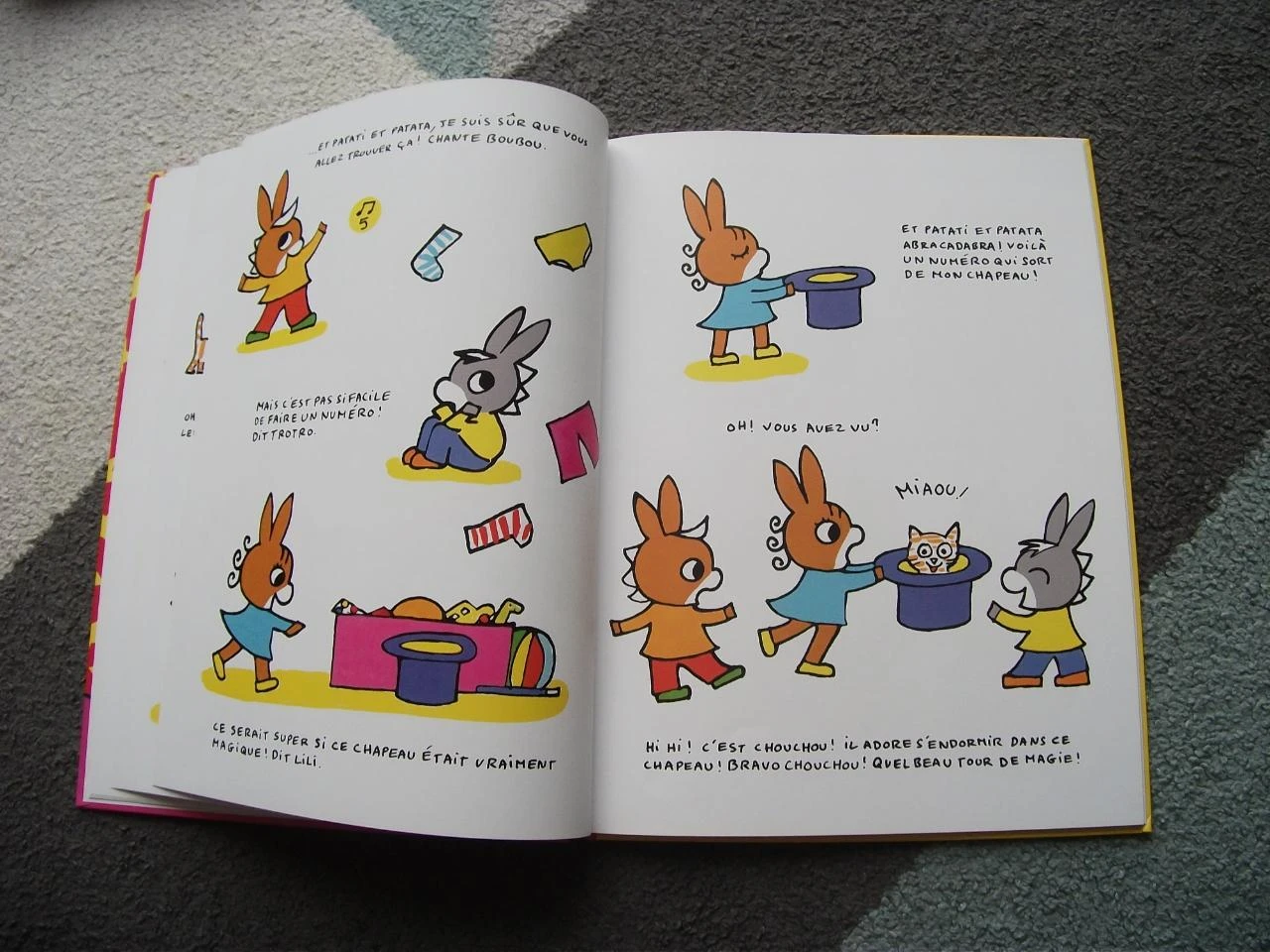 Livro Trotro faz seu circo Galimard Jeunesse – photo 7